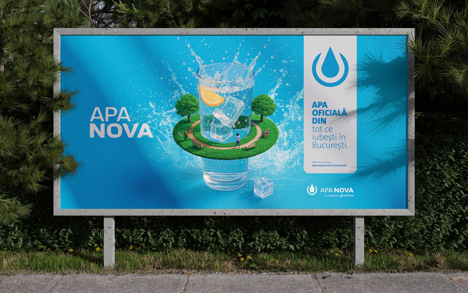 Imagine APA NOVA